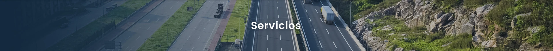 Servicios