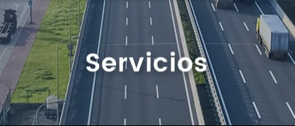 Servicios